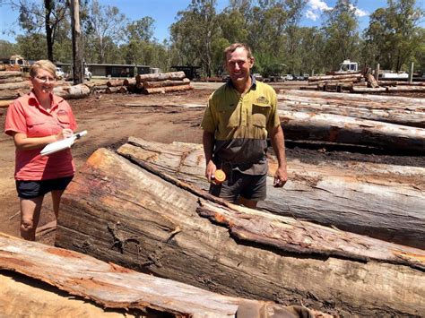 newells creek sawmill|Sawdust: It’s in Our Veins – Why Timber Matters in Regional NSW!